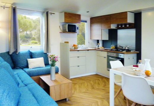 vente mobil home
