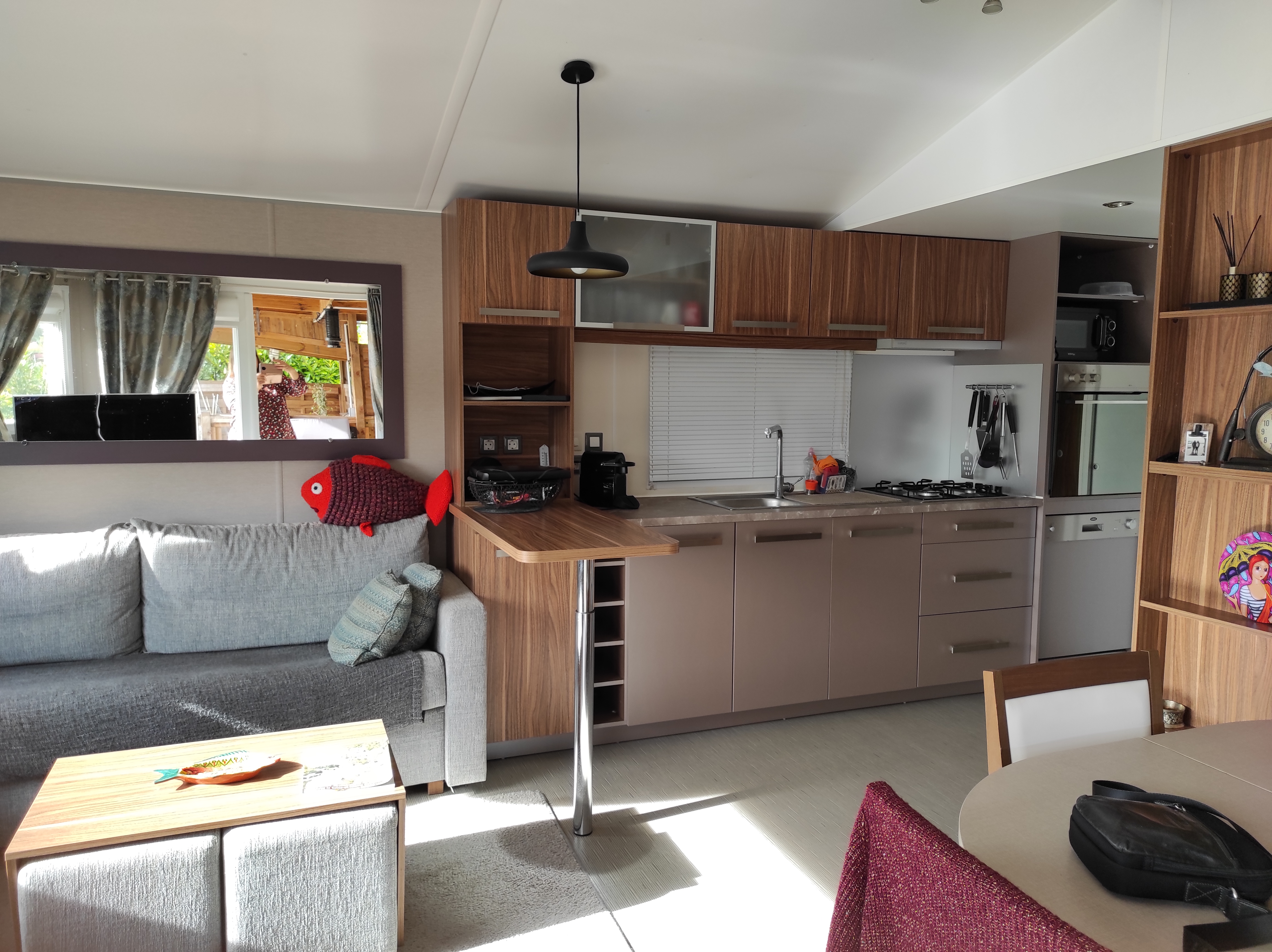 vente mobil home